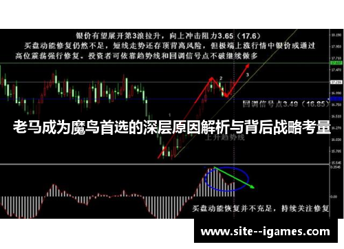 老马成为魔鸟首选的深层原因解析与背后战略考量