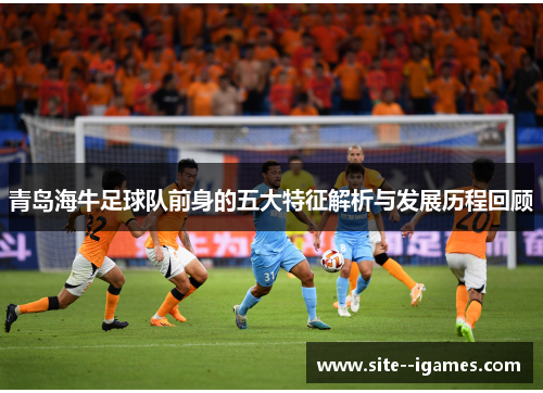 青岛海牛足球队前身的五大特征解析与发展历程回顾